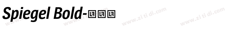 Spiegel Bold字体转换